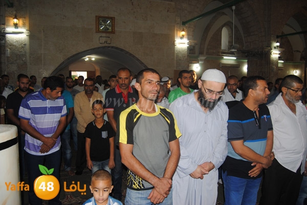 qerm ramla 3ed (25).JPG